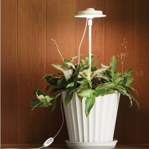 Plant Grow Light
